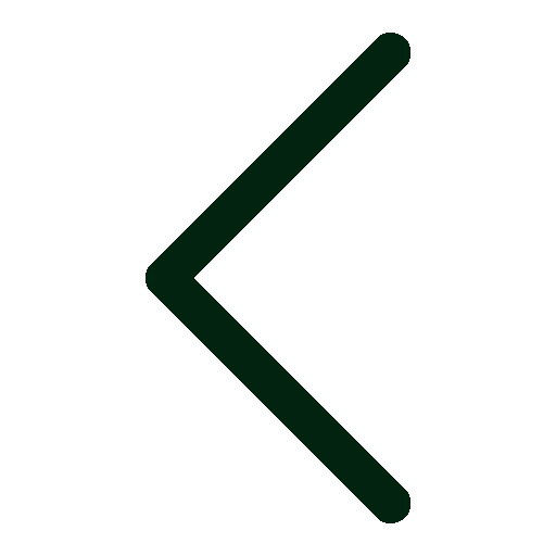 Exit Icon